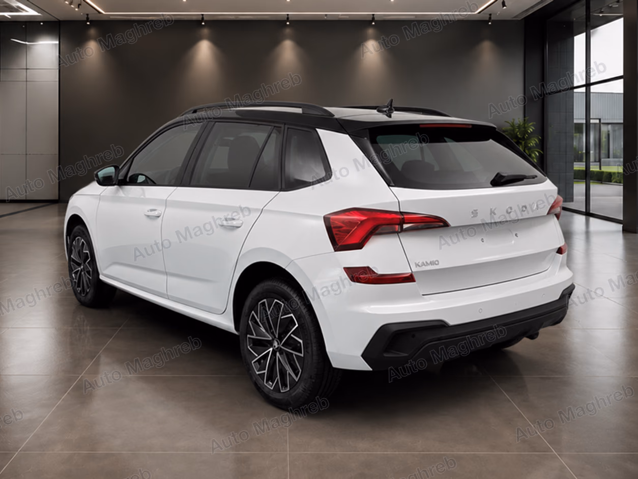 Škoda Kamiq 1.0 TSI 115 DSG Selection "Black Pack"